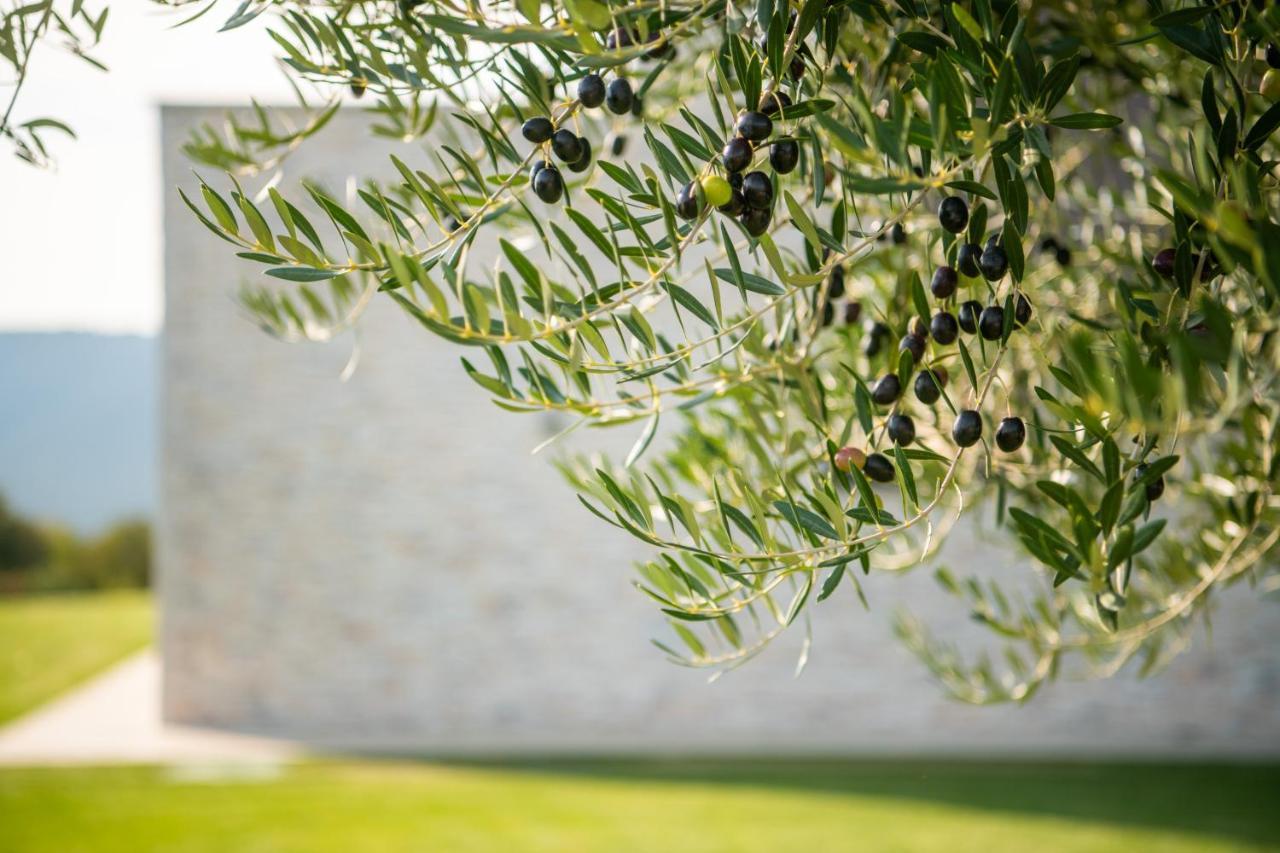 Raša Villa Memory מראה חיצוני תמונה